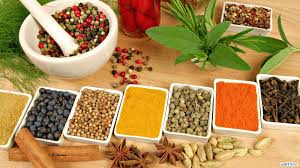 ayurvedic medical
