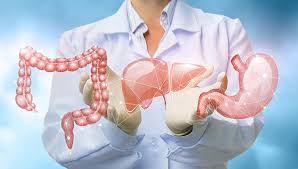 Gastroenterology Doctors
