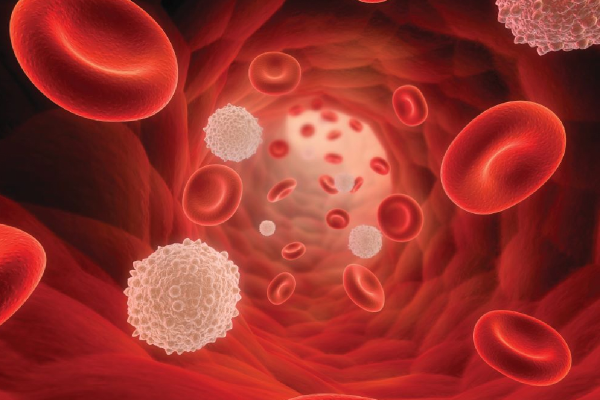 Hematology Clinic