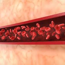Hematology Hospital