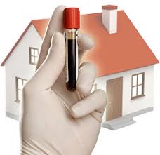 Blood Test