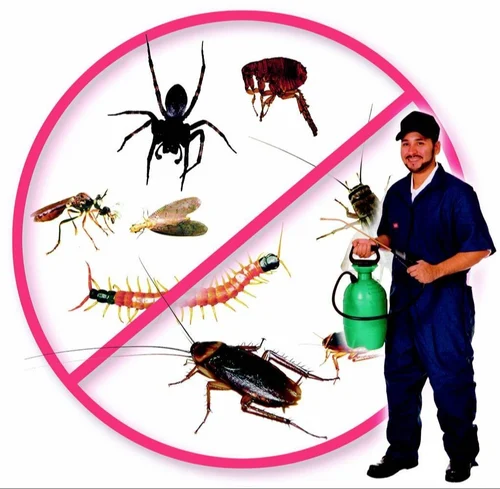 Household Pest Control