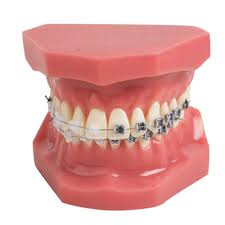 Tooth Sprocket