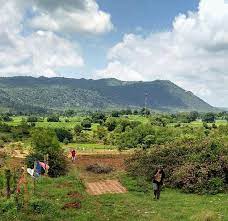 Agricultural plots