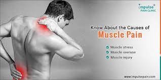 muscle pain