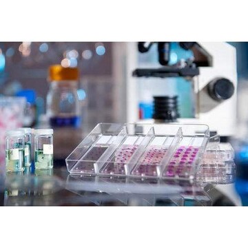 Lab Testing For Cosmetic Products