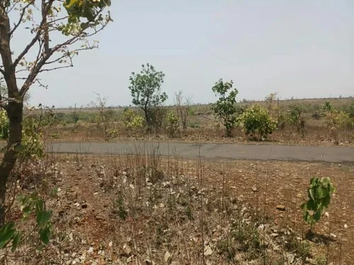 Resale agriculture land, Wardha