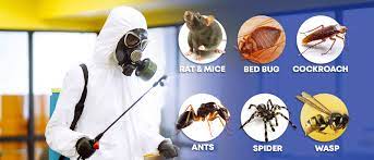 Residential Household Pest Control Services