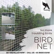 Bird Netting Service