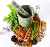 Herbal & Ayurvedic Medical Services